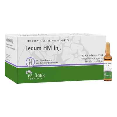 Ledum Hm Injekt Ampullen 50 stk von Homöopathisches Laboratorium Alexander Pflüger Gmb PZN 01033349
